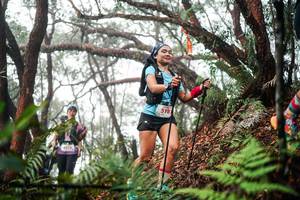 BIB: 
                            <button type="button" onclick="openModal(26298793)" class="btn btn-primary btn-sm float-right btn-popup" data-toggle="modal" data-target=".modal-high-quality">
                        <i class="fas fa-shopping-cart"></i> Add to Cart
                    </button>
                                            <button type="button" onclick="isThisMe(26298793, true)" class="btn btn-success btn-sm float-right btn-popup btn-isme hidden" data-toggle="tooltip" data-placement="bottom" title="นี่คือรูปของคุณใช่ไหม คลิกที่นี่เพื่อเอาเข้าอัลบั้ม">
                        <i class="fas fa-plus"></i> Add to album
                    </button>
                    <button type="button" onclick="isThisMe(26298793, false)" class="btn btn-warning btn-sm float-right btn-popup btn-isnotme hidden">
                        <i class="fas fa-ban"></i> Remove from album
                    </button>